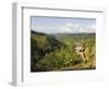 Finca Don Eduardo, Coffee Farm, Salento, Colombia, South America-Christian Kober-Framed Photographic Print