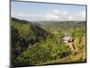 Finca Don Eduardo, Coffee Farm, Salento, Colombia, South America-Christian Kober-Mounted Photographic Print