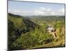 Finca Don Eduardo, Coffee Farm, Salento, Colombia, South America-Christian Kober-Mounted Photographic Print