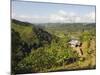 Finca Don Eduardo, Coffee Farm, Salento, Colombia, South America-Christian Kober-Mounted Photographic Print