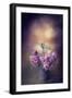 Finch and the Flowers-Jai Johnson-Framed Giclee Print