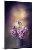 Finch and the Flowers-Jai Johnson-Mounted Giclee Print