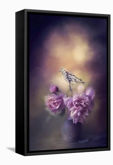 Finch and the Flowers-Jai Johnson-Framed Stretched Canvas