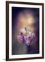 Finch and the Flowers-Jai Johnson-Framed Giclee Print