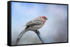 Finch in the Snow-Jai Johnson-Framed Stretched Canvas