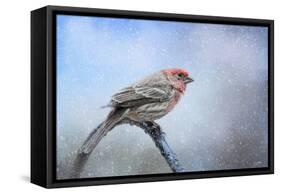 Finch in the Snow-Jai Johnson-Framed Stretched Canvas