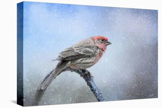 Finch in the Snow-Jai Johnson-Stretched Canvas