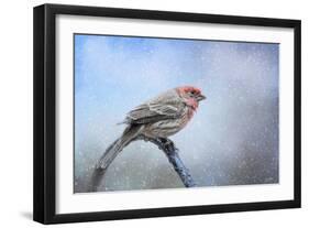 Finch in the Snow-Jai Johnson-Framed Giclee Print