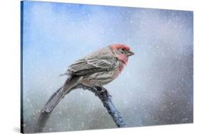 Finch in the Snow-Jai Johnson-Stretched Canvas