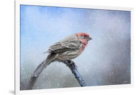 Finch in the Snow-Jai Johnson-Framed Giclee Print