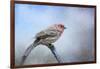 Finch in the Snow-Jai Johnson-Framed Giclee Print