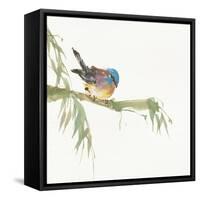 Finch-Chris Paschke-Framed Stretched Canvas