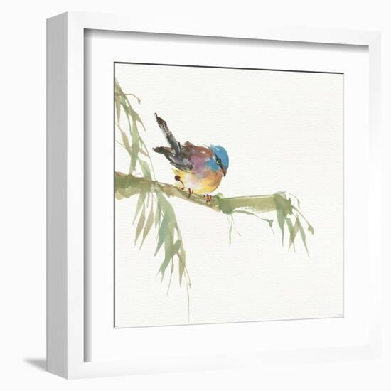 Finch-Chris Paschke-Framed Art Print