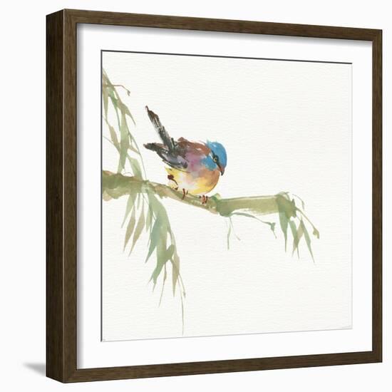 Finch-Chris Paschke-Framed Art Print