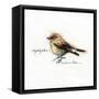FINCH-BRUCE DEAN-Framed Stretched Canvas