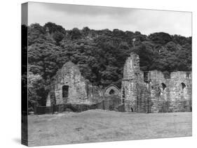 Finchdale Priory Ruins-Fred Musto-Stretched Canvas