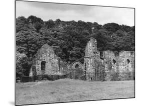 Finchdale Priory Ruins-Fred Musto-Mounted Photographic Print