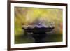 Finches on the Bird Bath-Jai Johnson-Framed Giclee Print