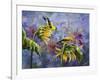 Finches with Sunflowers-Sarah Davis-Framed Giclee Print