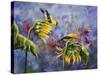 Finches with Sunflowers-Sarah Davis-Stretched Canvas