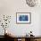 Find Night Lights - Turtle-Elisa Chavarri-Framed Giclee Print displayed on a wall