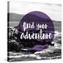 Find your Adventure 2-null-Stretched Canvas