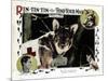 Find Your Man, Eric St. Clair, Rin Tin Tin, 1924-null-Mounted Art Print