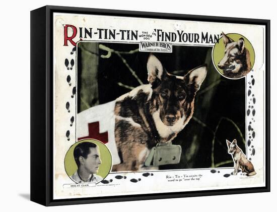 Find Your Man, Eric St. Clair, Rin Tin Tin, 1924-null-Framed Stretched Canvas