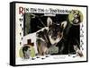 Find Your Man, Eric St. Clair, Rin Tin Tin, 1924-null-Framed Stretched Canvas