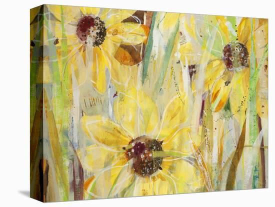 Finding Happiness-Jill Martin-Stretched Canvas