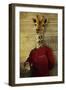 Finding His Roots-J Hovenstine Studios-Framed Premium Giclee Print