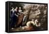 Finding of Moses-Bernardo Cavallino-Framed Stretched Canvas