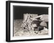 Black Frame