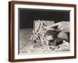 Brown Frame