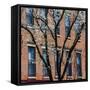 Findlay Market, Cincinnati, Ohio, USA-Anna Miller-Framed Stretched Canvas