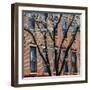 Findlay Market, Cincinnati, Ohio, USA-Anna Miller-Framed Photographic Print