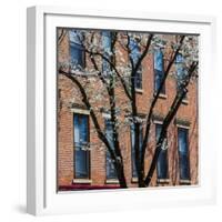 Findlay Market, Cincinnati, Ohio, USA-Anna Miller-Framed Photographic Print