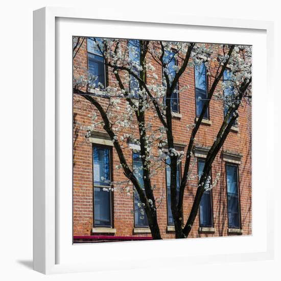 Findlay Market, Cincinnati, Ohio, USA-Anna Miller-Framed Photographic Print