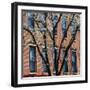 Findlay Market, Cincinnati, Ohio, USA-Anna Miller-Framed Premium Photographic Print