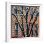 Findlay Market, Cincinnati, Ohio, USA-Anna Miller-Framed Premium Photographic Print