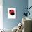 Fine Art - Art Print Series - Black and Red 90'-Philippe Hugonnard-Stretched Canvas displayed on a wall
