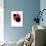 Fine Art - Art Print Series - Black and Red 90'-Philippe Hugonnard-Art Print displayed on a wall