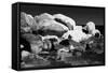 Fine Art Picture of Snowy and Icy Rocks in the Ocean. Black and White-Michal Bednarek-Framed Stretched Canvas