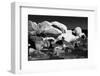 Fine Art Picture of Snowy and Icy Rocks in the Ocean. Black and White-Michal Bednarek-Framed Photographic Print