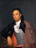 Portrait of the Matador Pedro Romero by Francisco Goya-Fine Art-Photographic Print