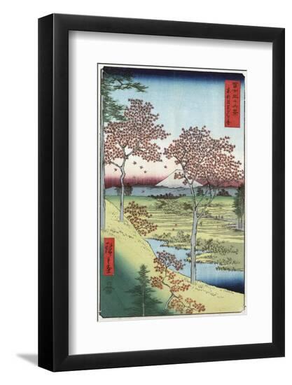 Premium Photographic Print, , large