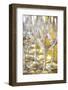 Fine Dining, Wine Glasses, Tuscany, Italy-Terry Eggers-Framed Photographic Print