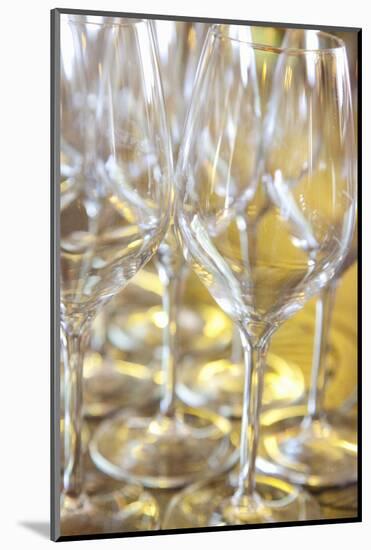 Fine Dining, Wine Glasses, Tuscany, Italy-Terry Eggers-Mounted Photographic Print