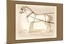 Wood Mount