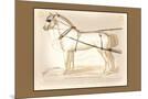 Wood Mount